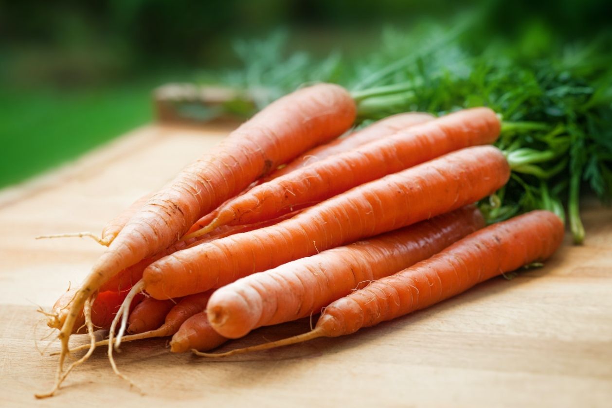 Wortel mengandung vitamin A, C, dan K yang baik untuk perawatan kulit. Yuk simak lima manfaat wortel untuk kecantikan kulit berikut ini.
