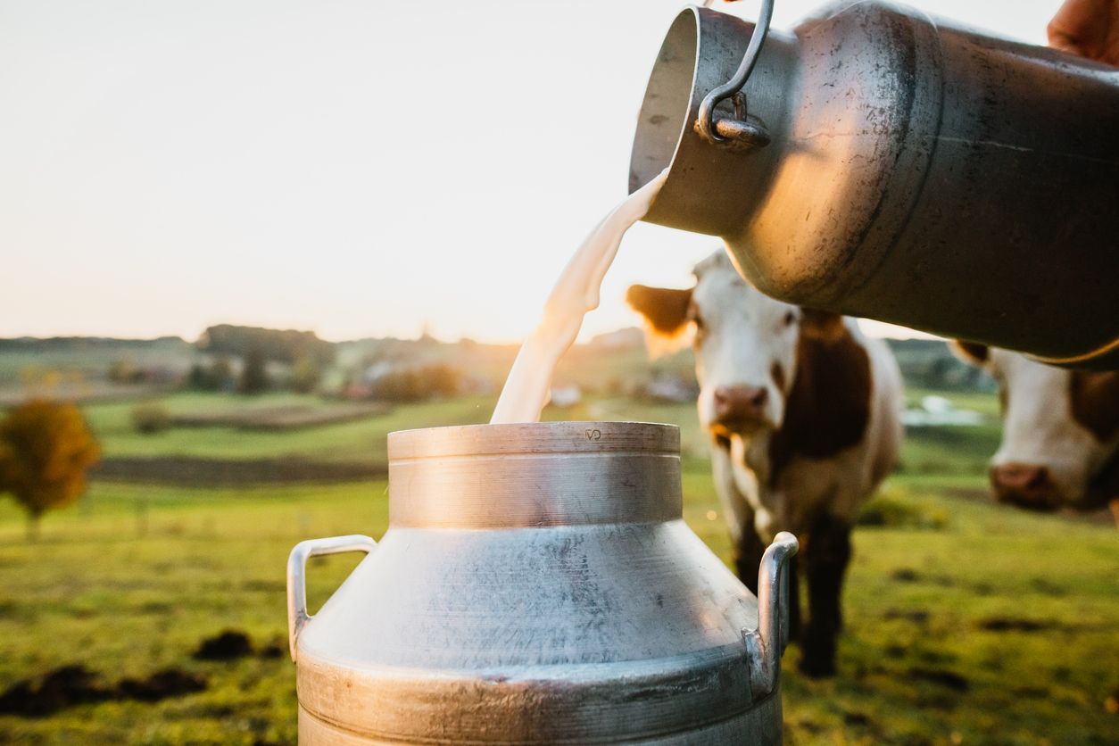 Tak hanya bisa menyehatkan badan, susu murni juga bermanfaat untuk kecantikan Yuk, simak lima manfaat susu murni berikut ini!