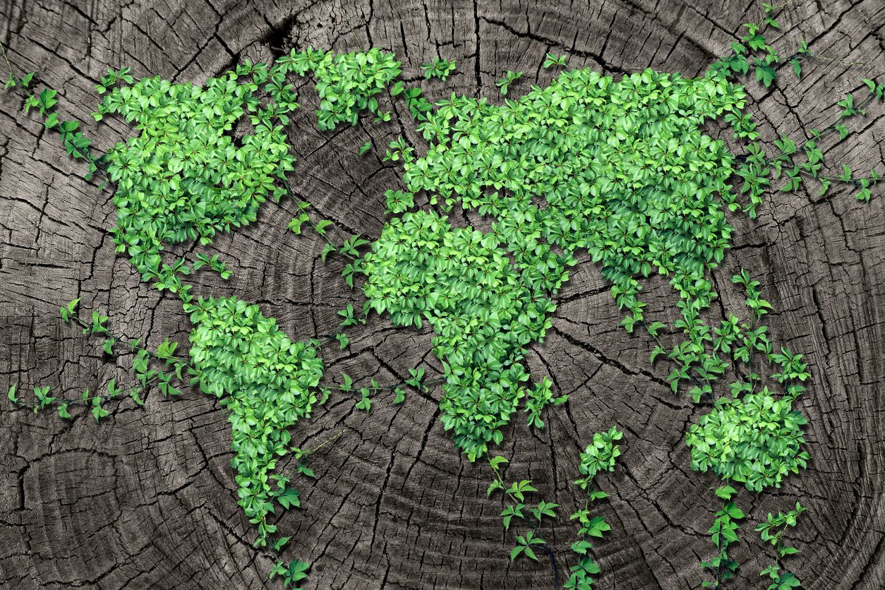 Pakai sistem berkelanjutan, ini pengertian green economy atau ekonomi hijau dan praktiknya dalam kehidupan sehari-hari !