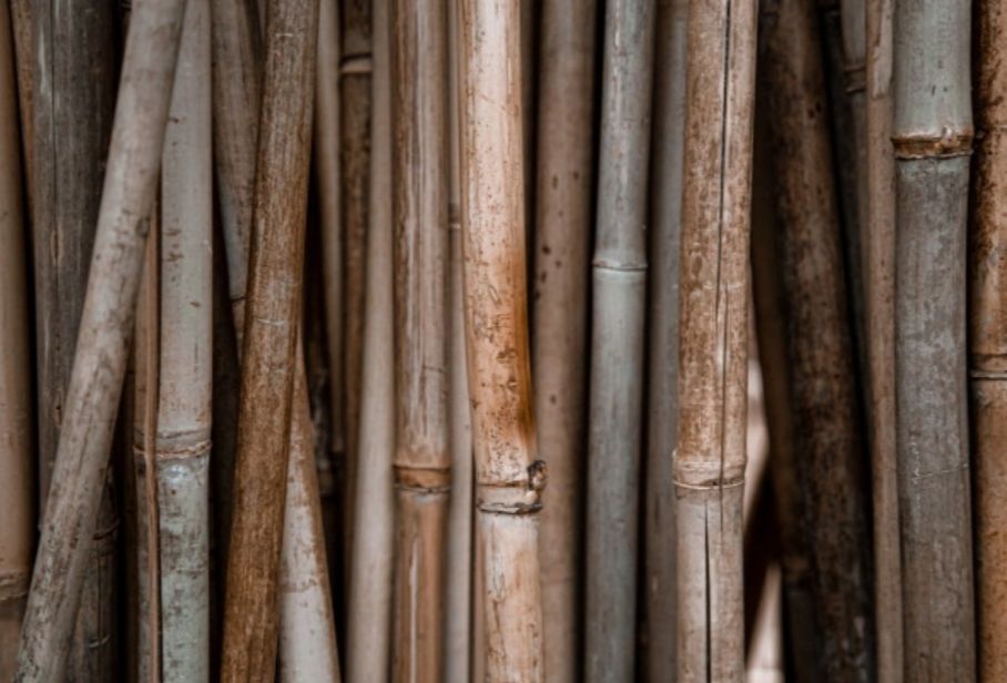 Masih jarang diketahui, ternyata ini 5 manfaat jika Kawan Puan menggunakan furnitur bambu, mulai dari awet hingga ekonomis.