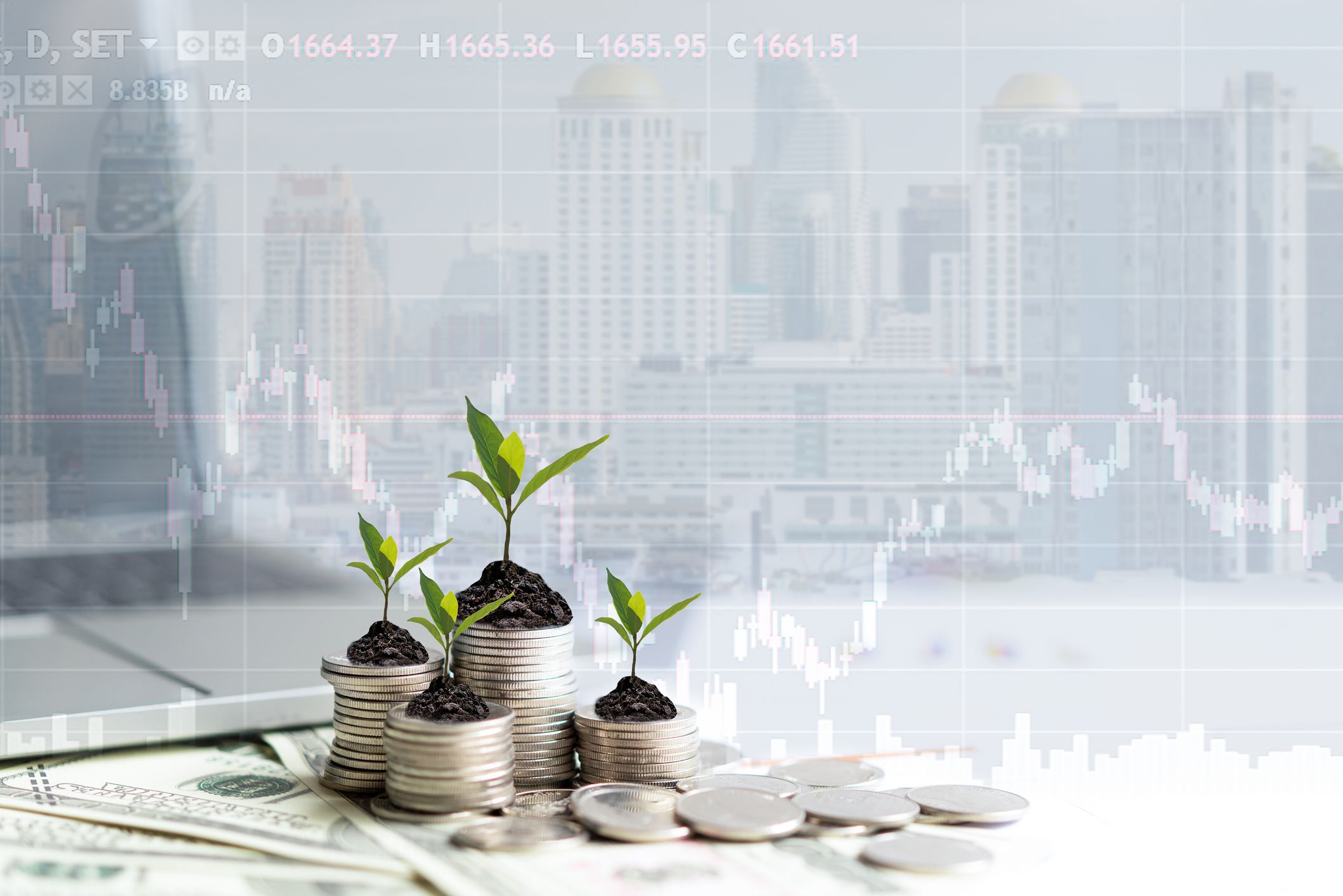 Pemerintah menawarkan sukuk tabungan ST008 sampai tanggal 17 November mendatang. Bagaimana cara memesan dan mendapatkannya?
