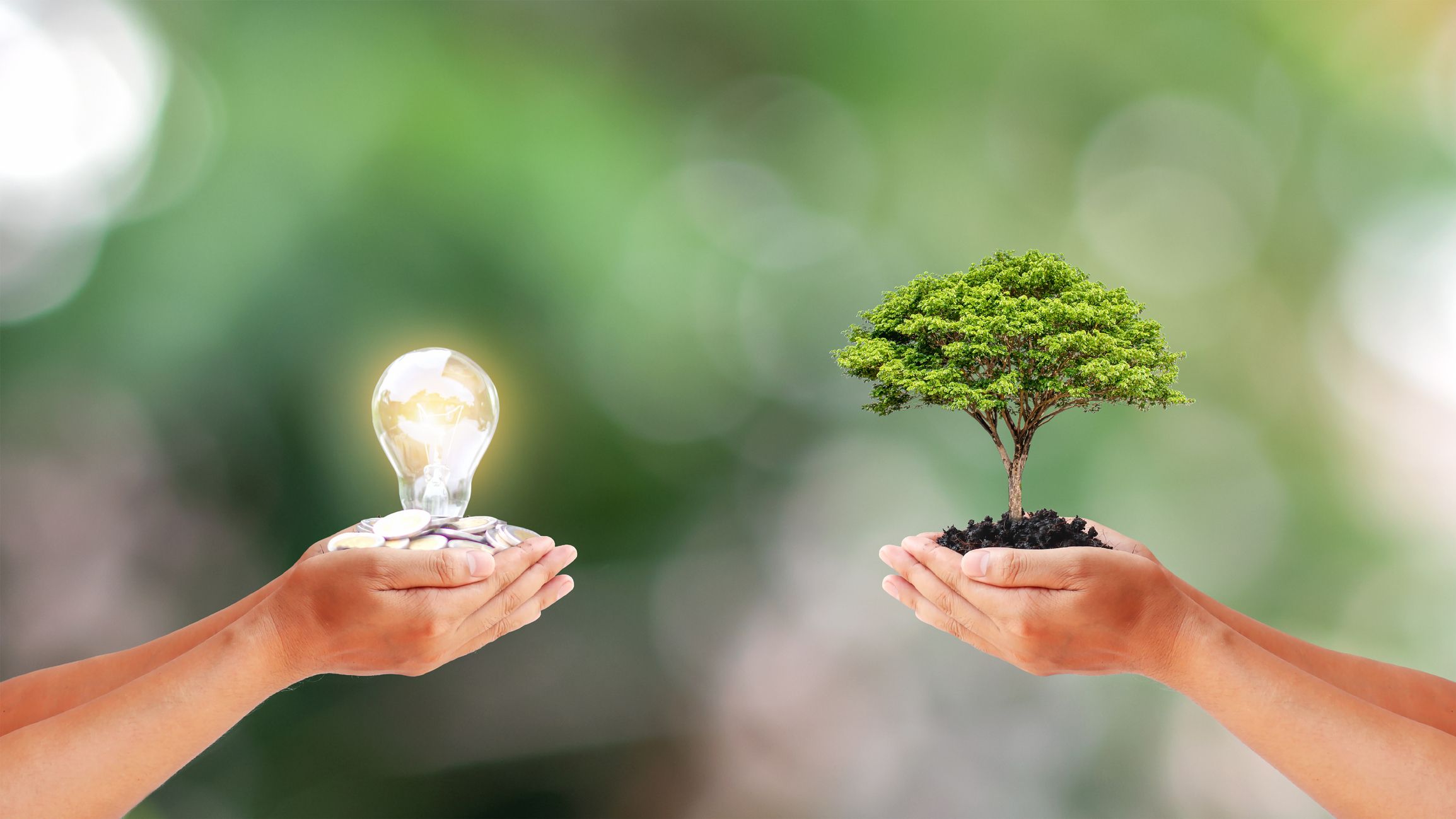 Presiden Joko Widodo mengatakan bahwa Indonesia memiliki potensi besar untuk terus mengarah pada green economy alias ekonomi hijau.