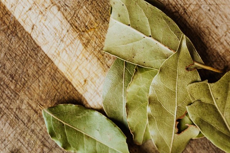 Berikut 3 bahan alami yang bisa bantu mengusir kecoak. Ketiga bahan alami tersebut tidak menimbulkan bau yang mengganggu!
