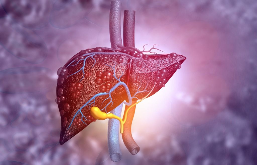 Meninggalnya Ameer Azzikra yang dikabarkan menderita penyakit liver membuat publik terkejut. Berikut ini makanan untuk menyehatkan liver