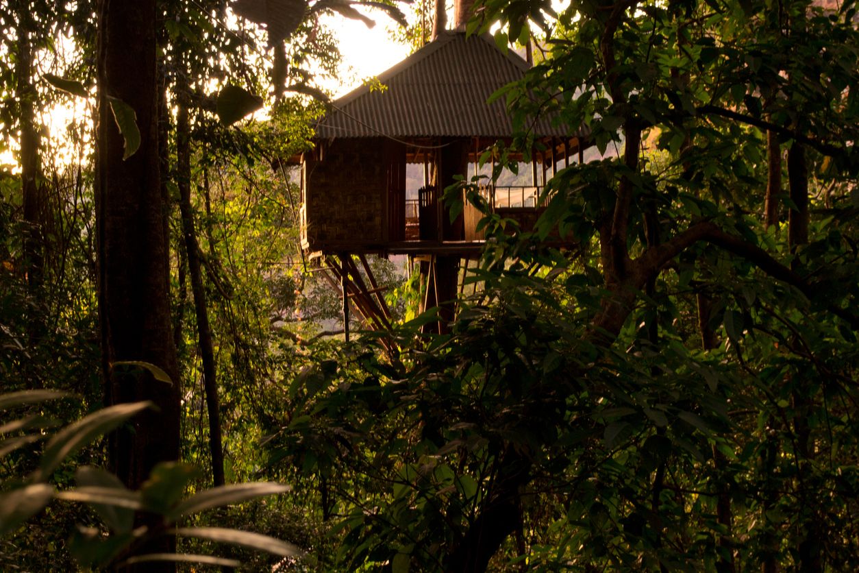 Bukan hanya rumah pohon biasa, ini dia sederet rumah pohon yang unik dan indah di berbagai negara. Seperti apa ya?
