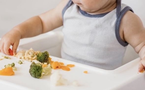 Mengenal istilah Baby Led Weaning dan kapan  orang tua bisa mulai melakukannya.
Simak penjelasan berikut ini.