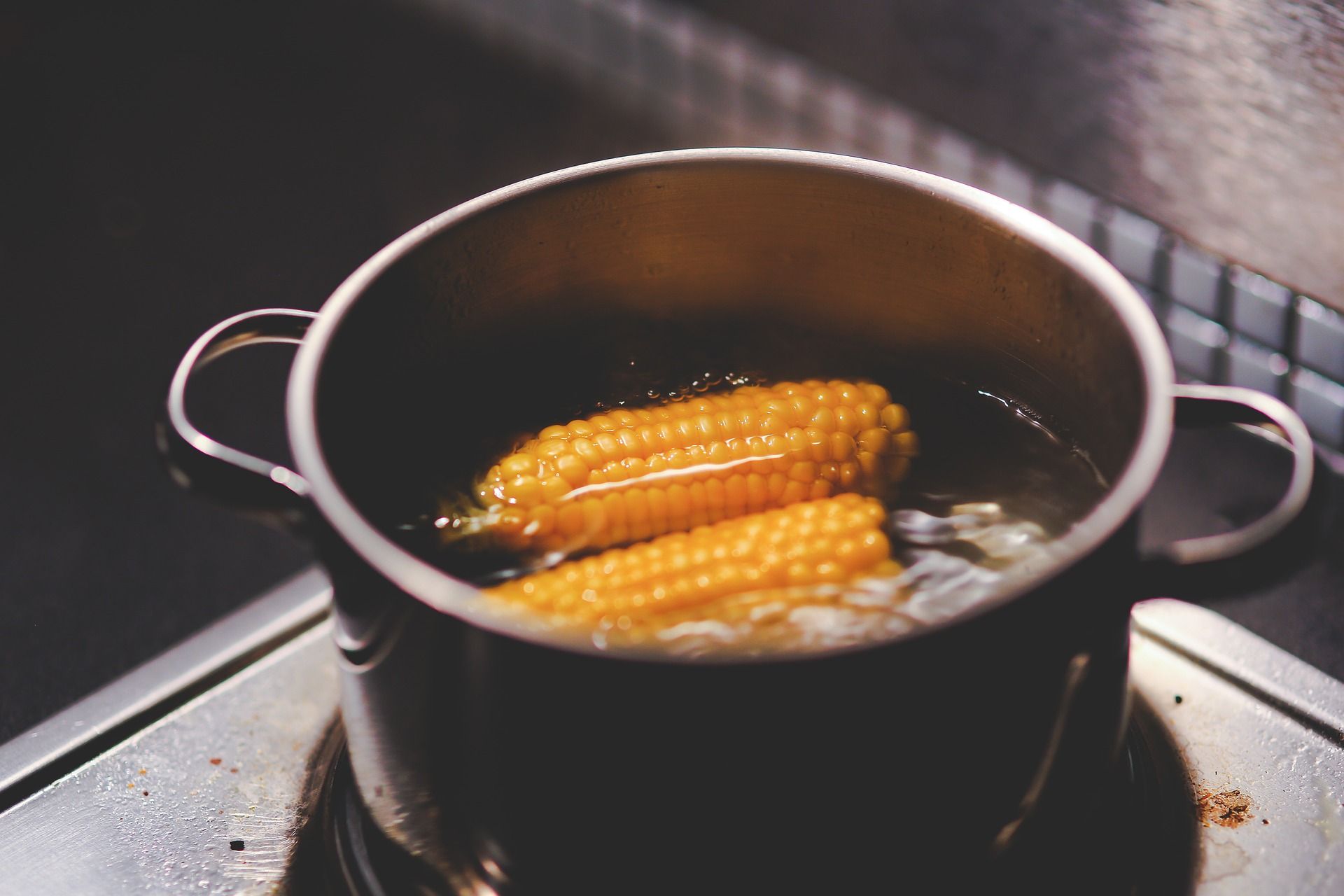 Setelah merebus jagung, kamu terbiasa membuang air rebusannya.
Nyatanya, air bekas rebusan jagung memiliki manfaat luar biasa untuk tanaman.