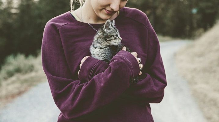 Kerap mendapati mata anak kucing berair dan terus mengeluarkan kotoran. Menurut pakar, ini bisa jadi penyebabnya.