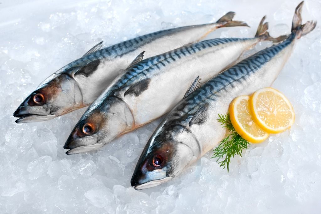 Berikut lima tips menyimpan ikan agar tetap segar yang bisa dicoba. Salah satunya pakai es baru saat menyimpan!