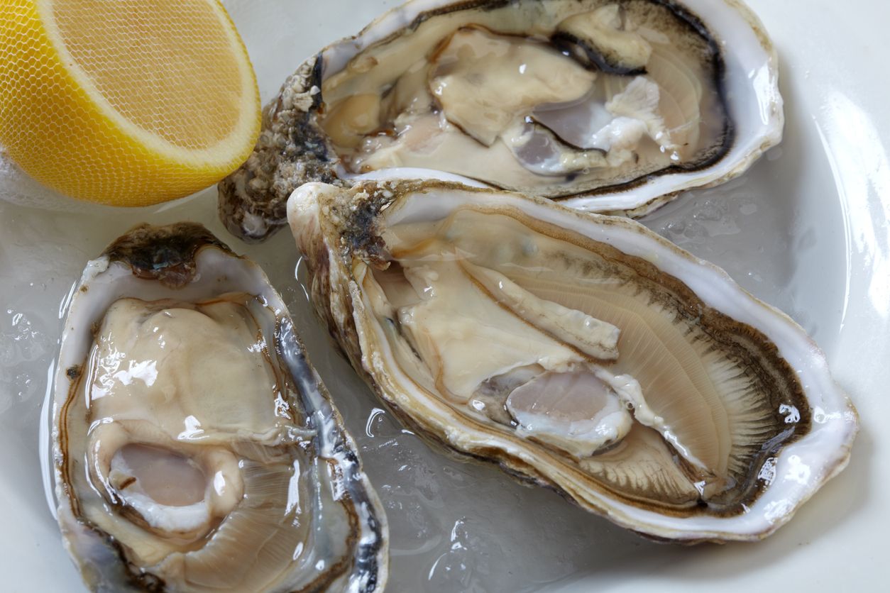 Berikut ini berbagai manfaat makan oyster bagi kesehatan, mulai dari meningkatkan kekebalan tubuh, hingga kesehatan tulang