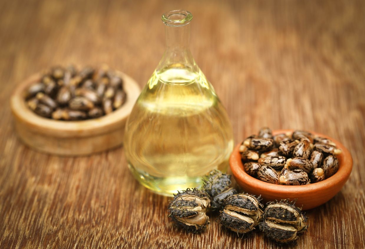 Tak hanya mengobati perut kembung, minyak jarak juga bisa kamu manfaatkan untuk perawatan kecantikan. Yuk, simak!