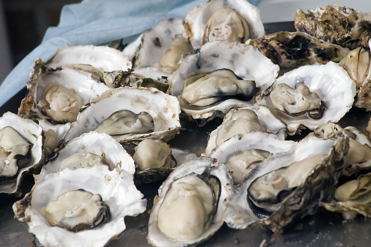 Oyster atau tiram laut kini banyak diminati karena rasanya yang enak. Yuk, simak tips memasak cepat oyster seperti di restoran seafood ini!