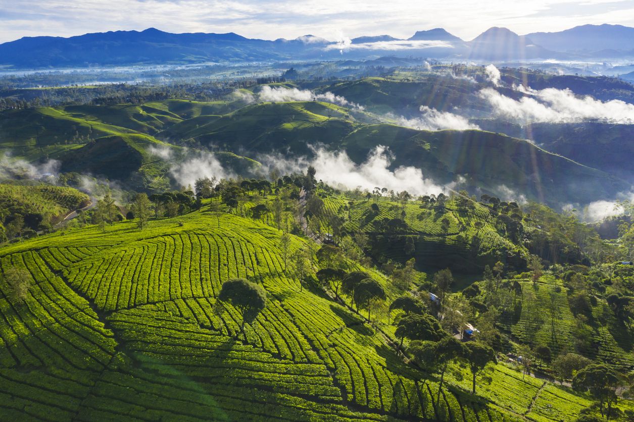 Berikut ini tiga hidden gem di Ciwidey yang cocok bagi pencinta alam, di mana saja? Yuk simak berbagai lokasinya