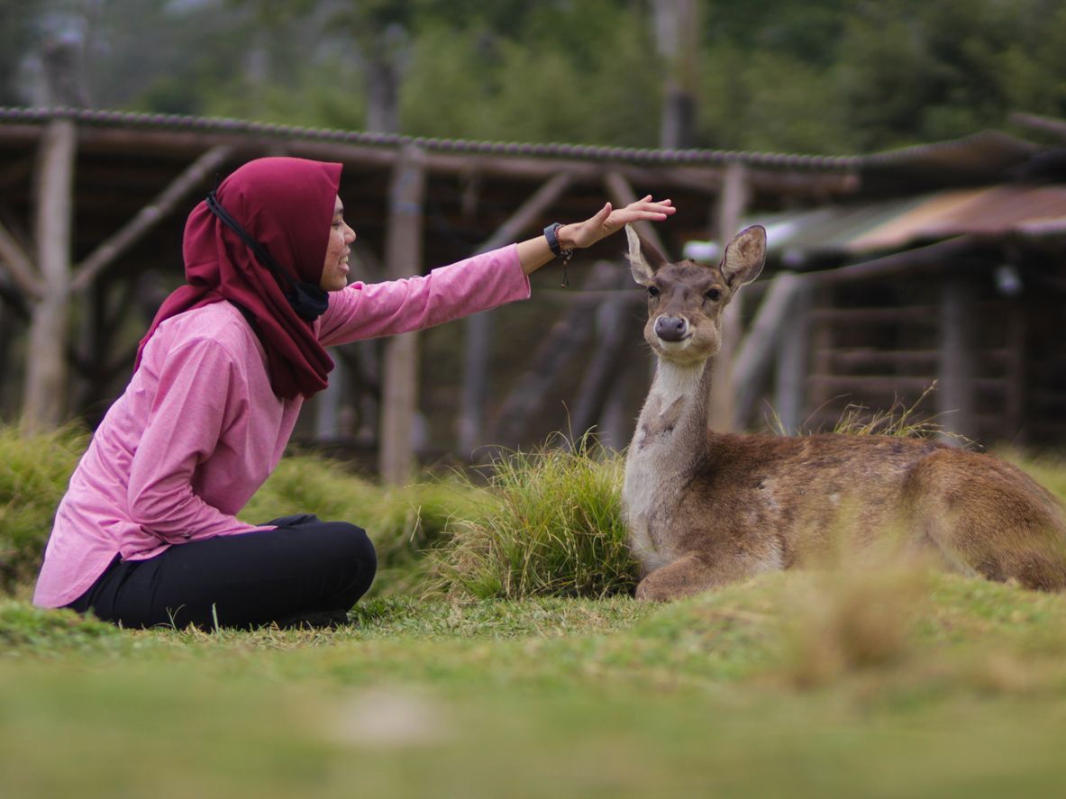 Berikut ini lima rekomendasi hidden gem di Bandung yang cocok untuk pinkik bareng keluarga, simak selengkapnya