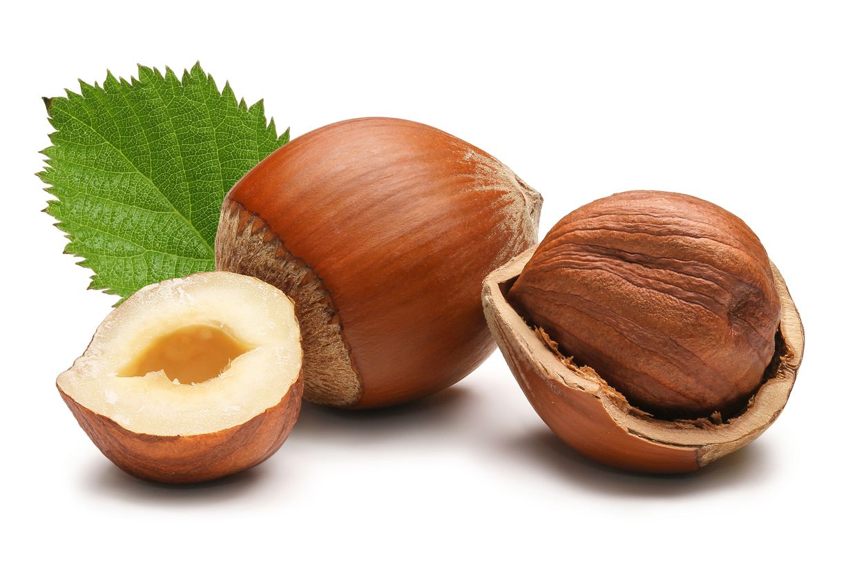 Berikut ini khasiat kacang hazelnut sebagai obat alami, mampu mengurangi penambahan berat badan hingga meningkatkan jumlah sperma