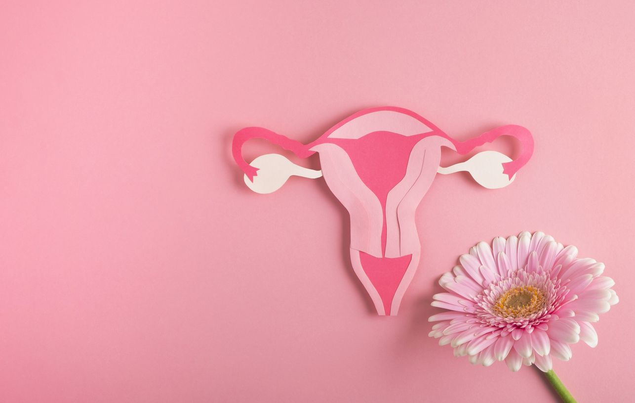 Pemeriksaan kesehatan reproduksi perempuan terkait IMS dapat dilakukan di puskesmas. Simak tata caranya!