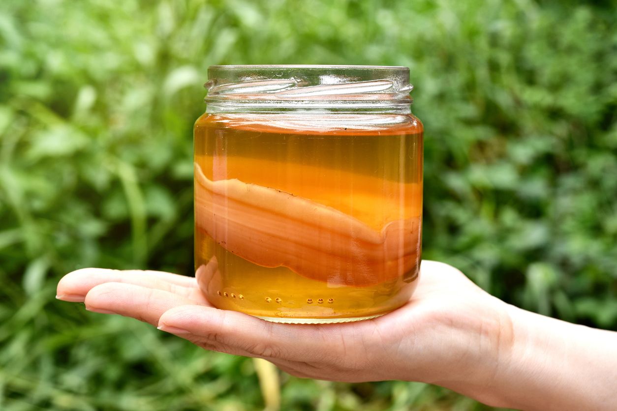 Kombucha menjadi salah satu minuman fermentasi dari teh yang sehat untuk tubuh, yuk simak penjelasannya 