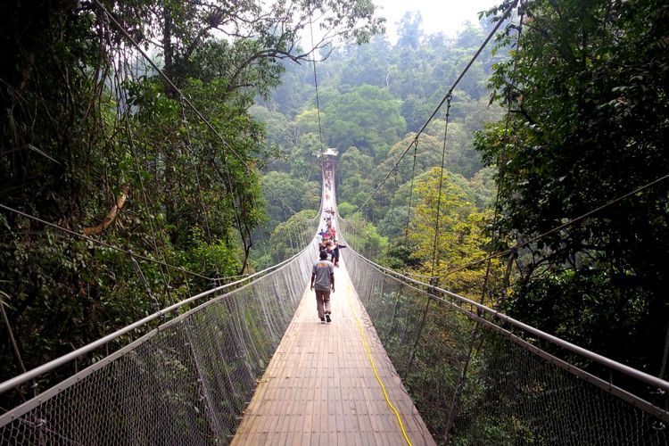 Berikut ini hidden gem di Kabupaten Sukabumi, mulai dari pantai, jembatan gantung, hingga kampung adat