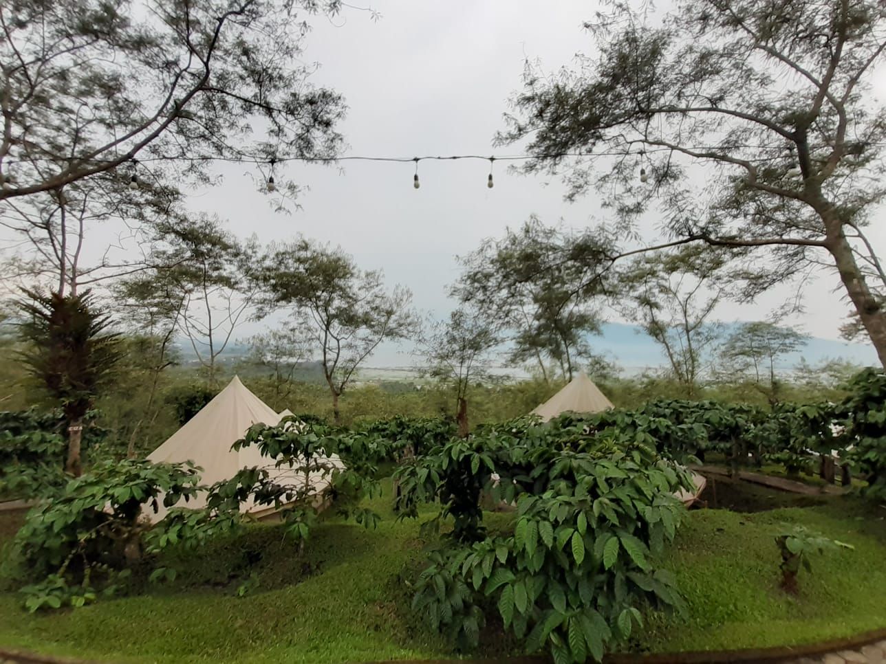 Foto : Healing Ke Alam Dengan Menginap Di 4 Glamping Ini, Mana Saja?