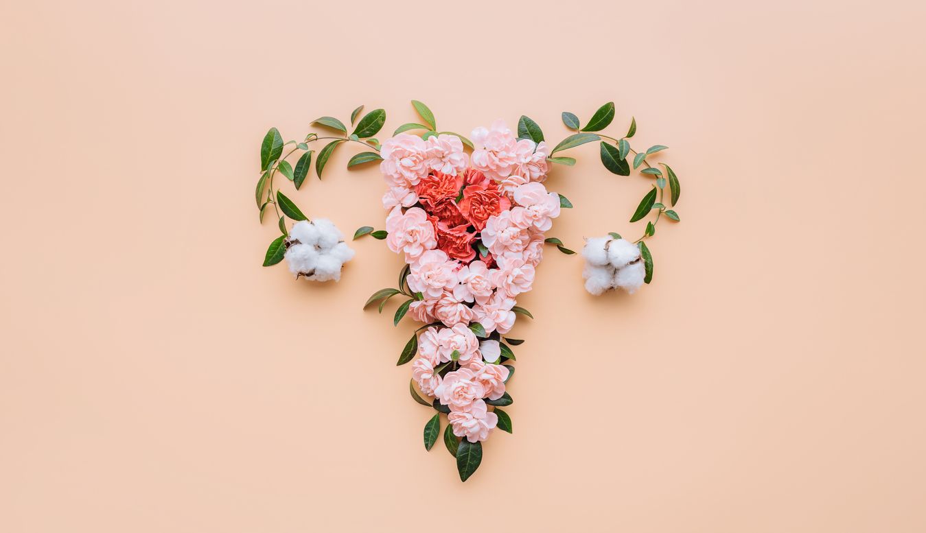 Mengenal organ kesehatan reproduksi perempuan, serviks. Mulai dari kemampuannya berubah bentuk hingga melindungi janin di masa kehamilan.