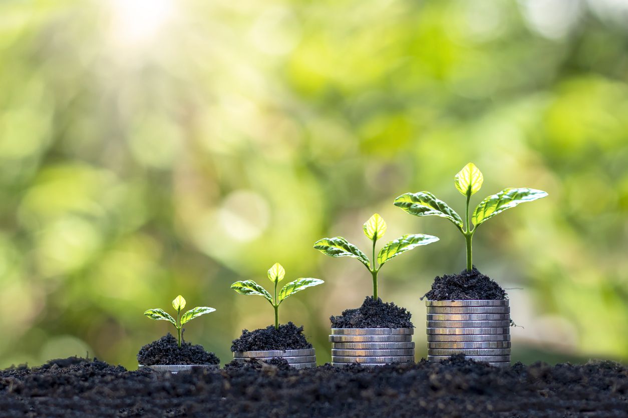 Kawan Puan, tanah merupakan salah satu yang tergolong ke dalam jenis investasi. Ini dia kelebihan investasi tanah.