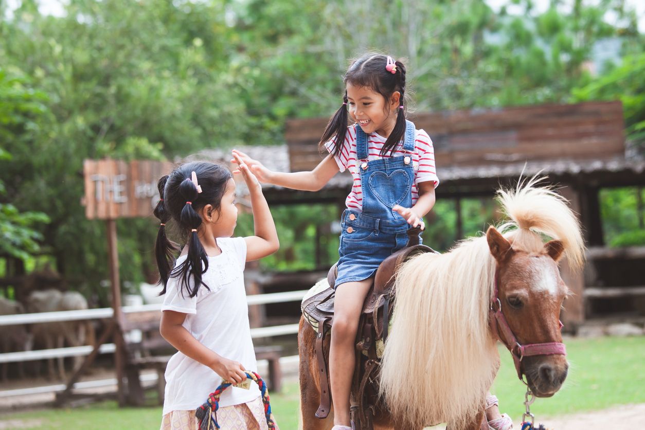 Ini empat hidden gem edutainment ramah anak yang bisa masuk daftar liburan keluarga, ada Bali Safari and Marine Park hingga Taman Pintar