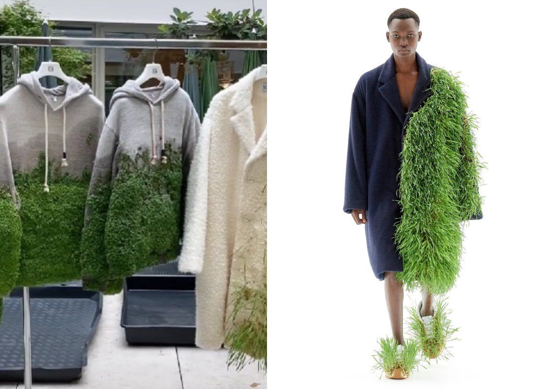 Loewe buat terobosan baru untuk koleksi Menswear Spring Summer 2023, yaitu dengan menggunakan tanaman asli. Ini proses pembuatannya.