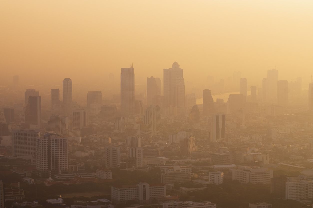 Berikut ini empat dampak dari kualitas udara yang buruk bagi ibu hamil, salah satunya bayi bisa lahir prematur