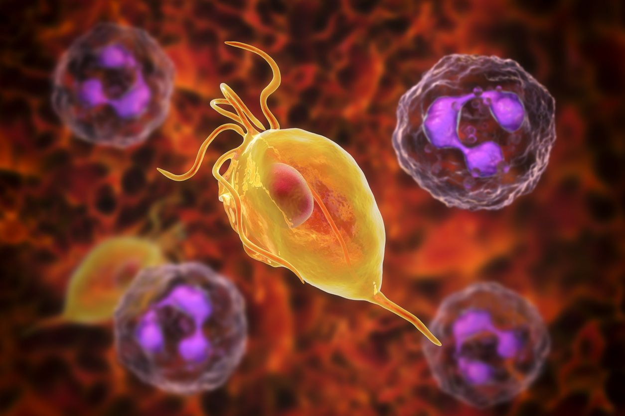 Berikut ini penjelasan mengenai trikomoniasis, kondisi yang menyerang kesehatan reproduksi perempuan