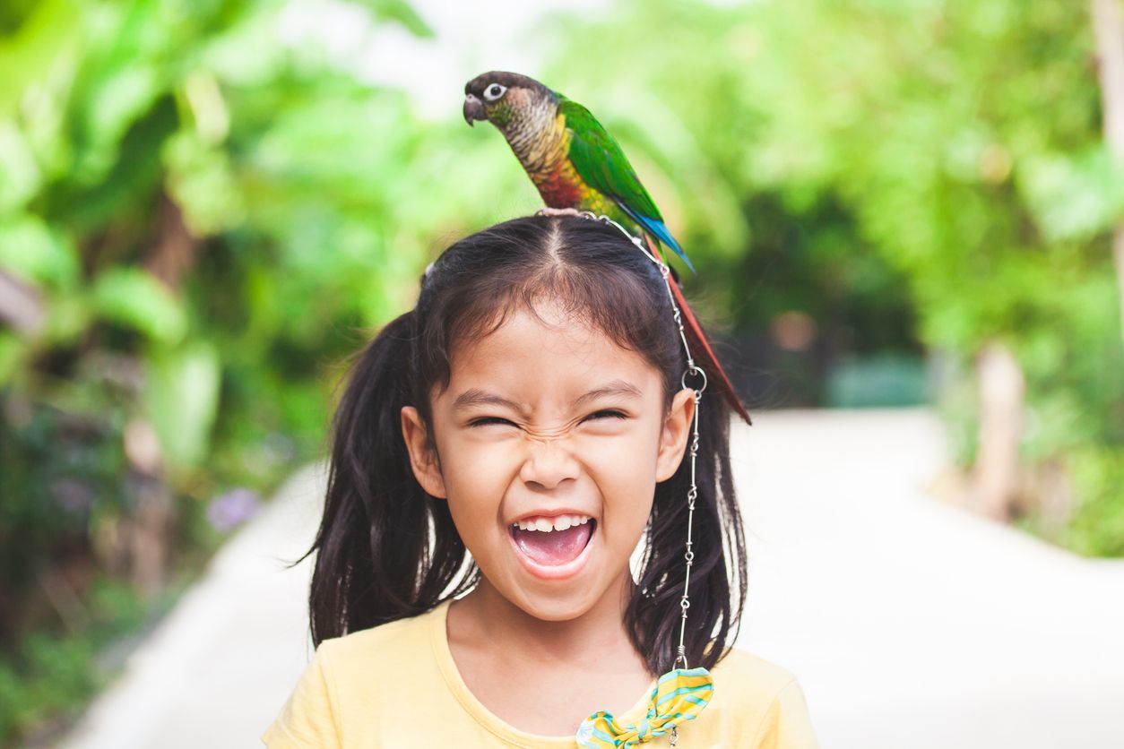 Berikut ini berbagai hidden gem rama anak yang bisa jadi tempat belajar ilmu sains hingga binatang lho, di mana saja?