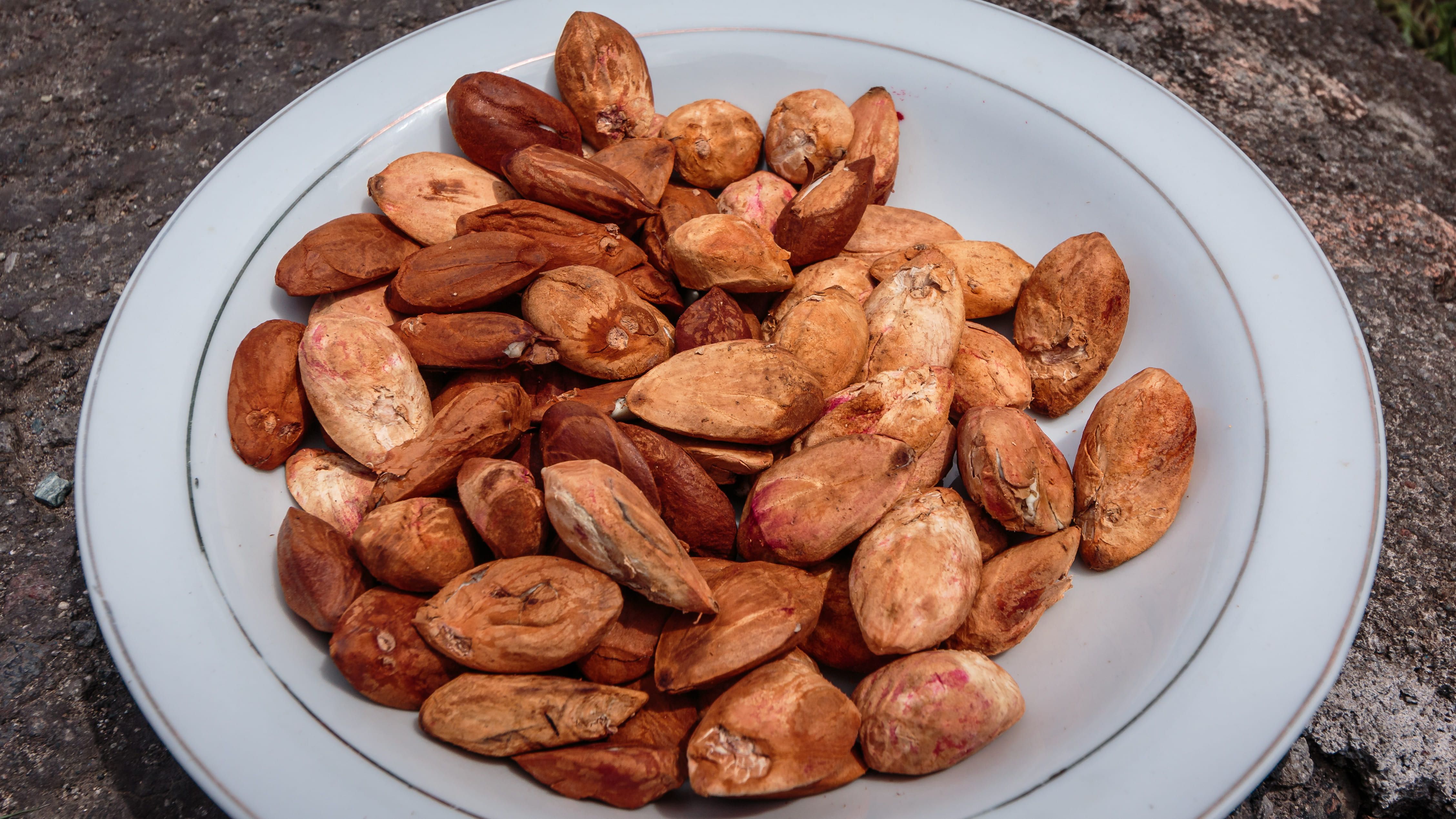 Berikut ini 5 olahan berbahan kacang kenari yang patut dicoba, termasuk olahan modern seperti pie hingga tradisional semacam sambal.