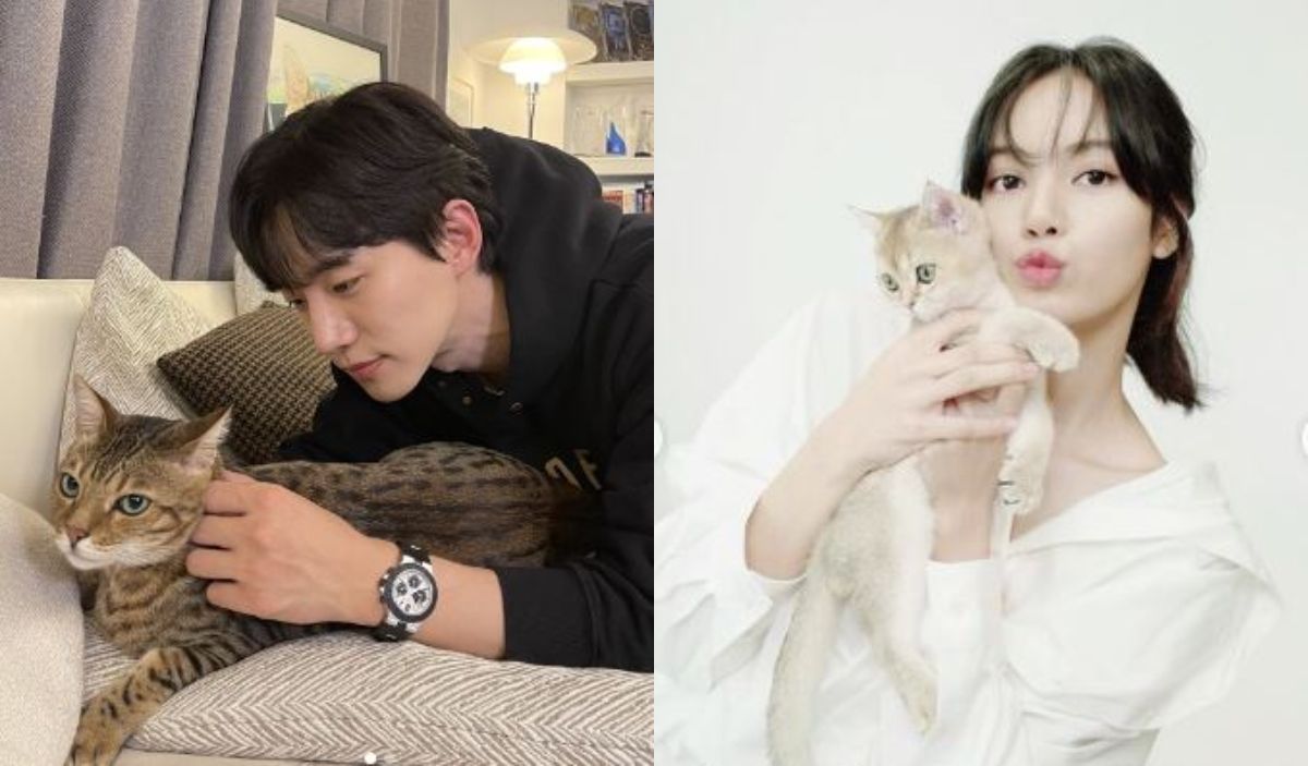 Berikut ini sederet idol Kpop yang ternyata seorang penyayang kucing. Ada siapa saja? Yuk simak ulasannya berikut ini