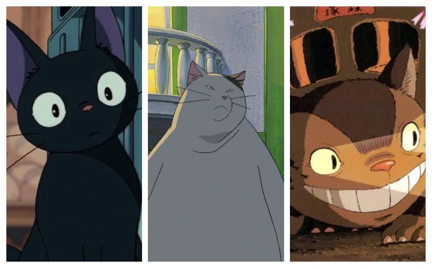 Rekomendasi film Ghibli dengan karakter kucing ikonik dalam rangka Hari Kucing Sedunia.