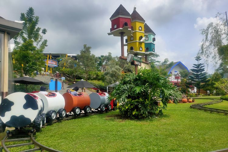 Cimory Dairyland Prigen yang jadi hidden gem di Pasuruan ini memiliki empat wahana yang wajib dikunjungi, apa saja?