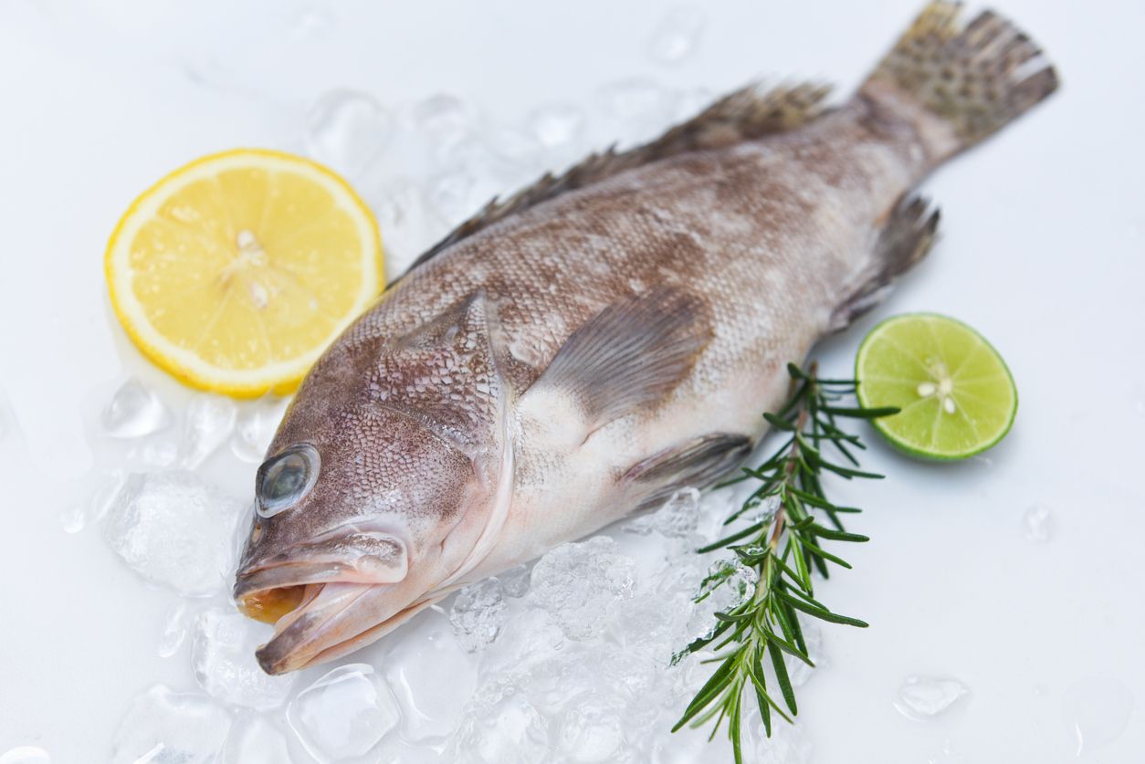 Ternyata memasak ikan itu tidak boleh sembarangan, misalnya saja ikan kerapu yang lebih cocok dikukus, Yuk simak selengkapnya
