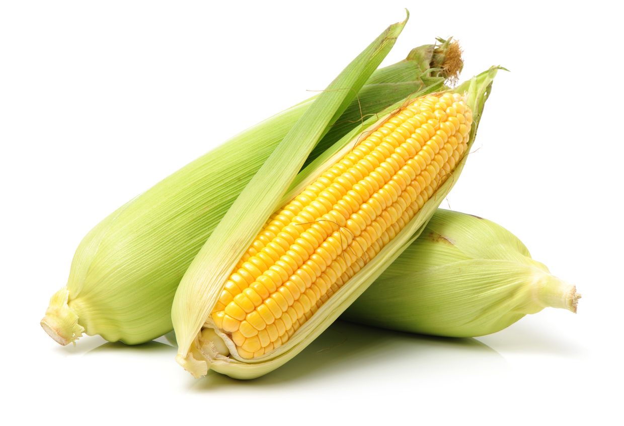 Berikut ini tiga tips memilih jagung manis berkualitas baik, salah satunya perhatikan warna kulit jagung
