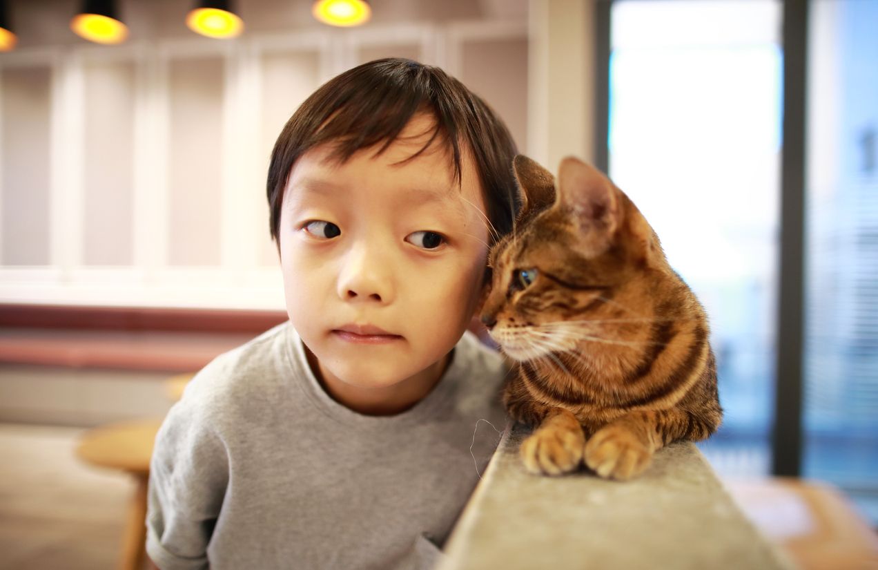 Ada banyak cara untuk meningkatan kecerdasan anak. Salah satunya dengan mengenalkan anak pada suara-suara sekitar. Bagaimana caranya?