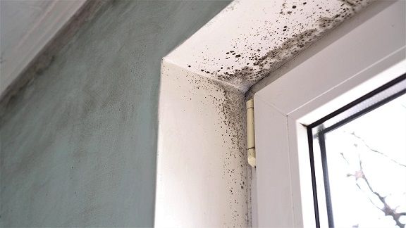 Sering terlewat, berikut ini tanda yang menunjukkan jika rumah memiliki tingkat kelembapan yang tinggi.