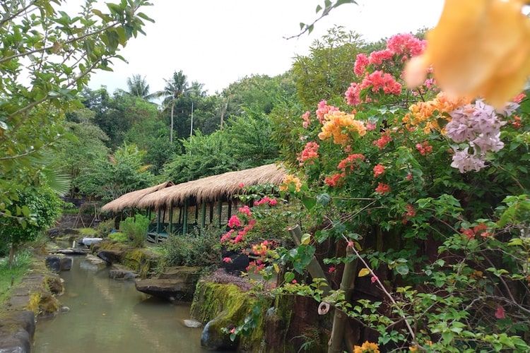 Berikut ini itinerary liburan sehari di Boyolali, mulai dari sarapan soto seger hingga menikmati live music saat malam hari!
