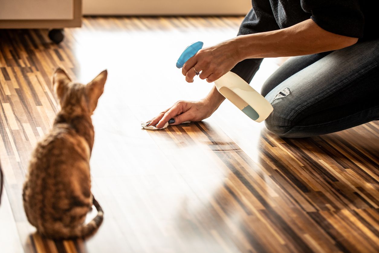 Sering mendapati kucing peliharaan kencing sembarangan? Ternyata empat hal ini bisa jadi alasannya. Yuk simak!