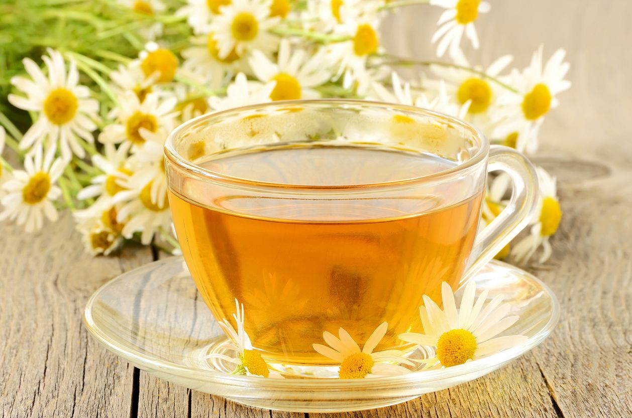 Teh chamomile ternyata membawa sejumlah khasiat yang baik untuk kesehatan lo, Kawan Puan. Yuk, simak ulasannya!