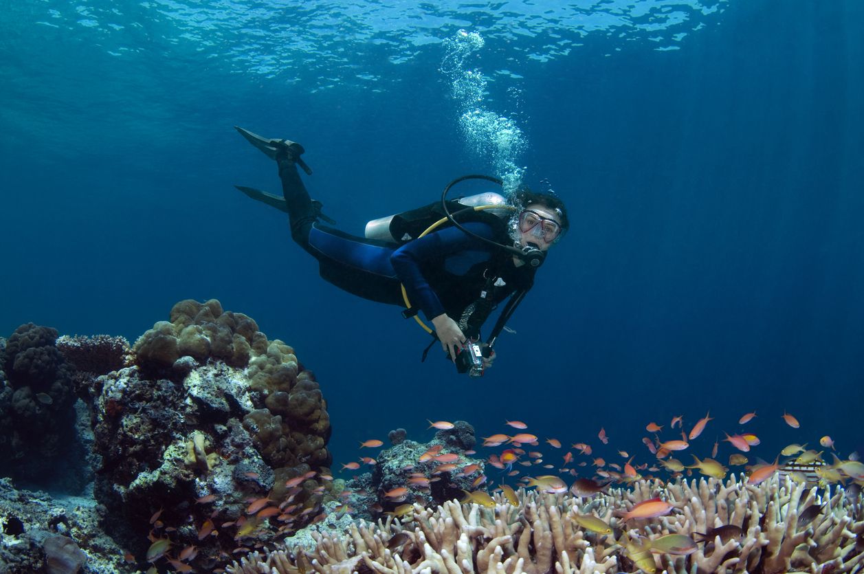 Freediving belakangan tengah jadi olahraga yang viral di TikTok. Sebenarnya apa manfaat melakukan olahraga ini untuk kesehatan?