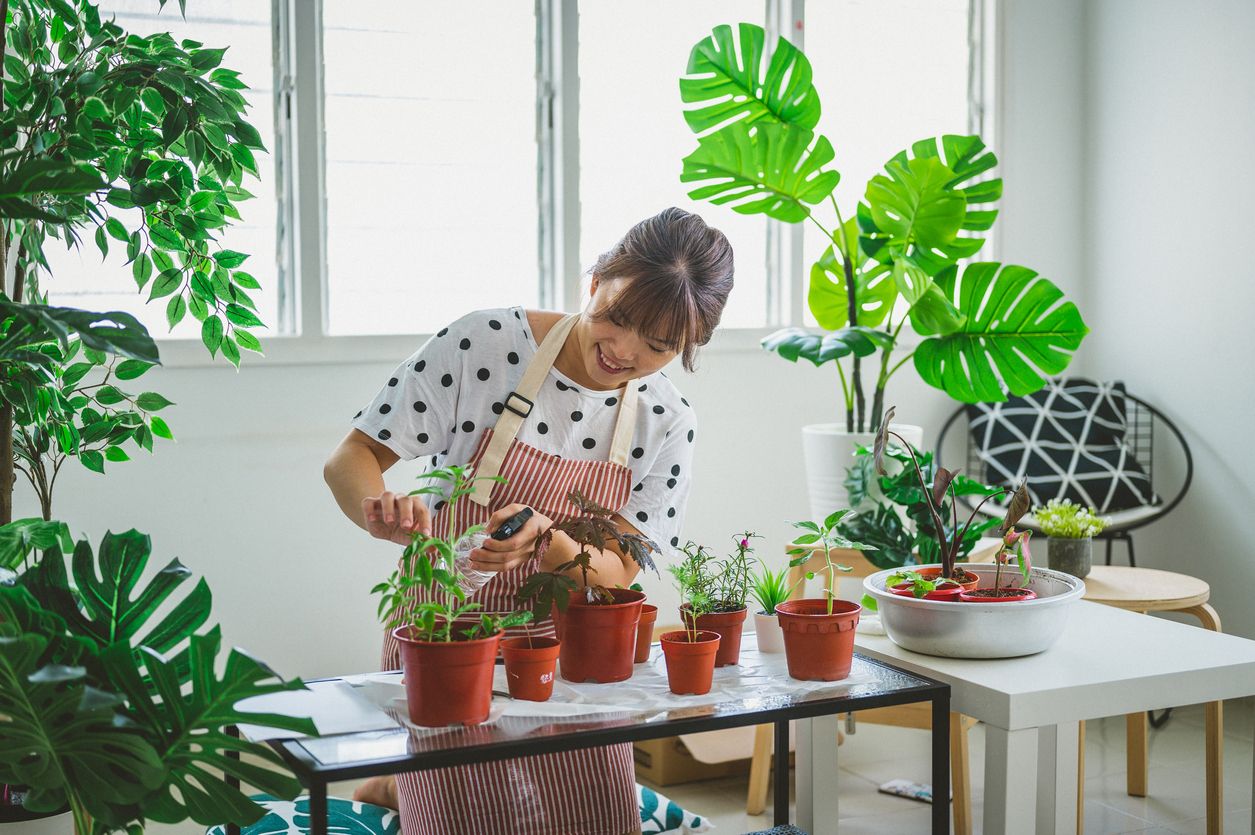 Taman indoor di rumah menawarkan estetika dan kesejukan di dalamnya. Yuk, simak cara membuatnya berikut ini!