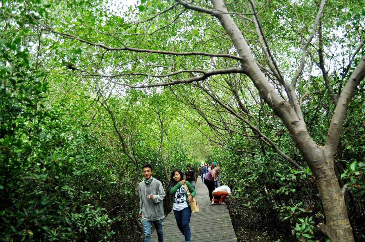  Berikut ini empat daftar hidden gem untuk healing di Surabaya, Jawa Timur, salah satunya mirip   Sagano Bamboo Forest di Jepang