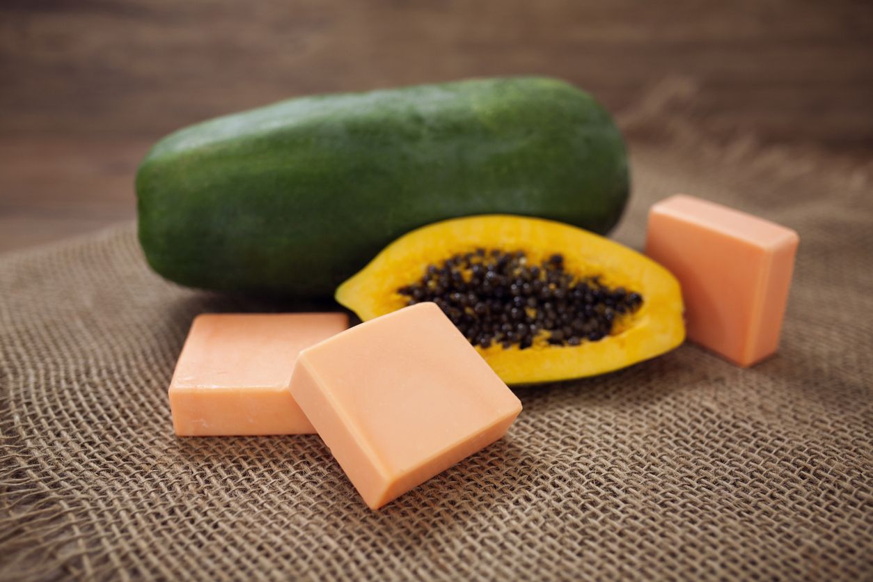 Belakangan sabun PAPAYA viral di TikTok dan digunakan oleh para beauty enthusiast untuk perawatan kecantikan. Ternyata ini manfaat pepaya untuk kulit.