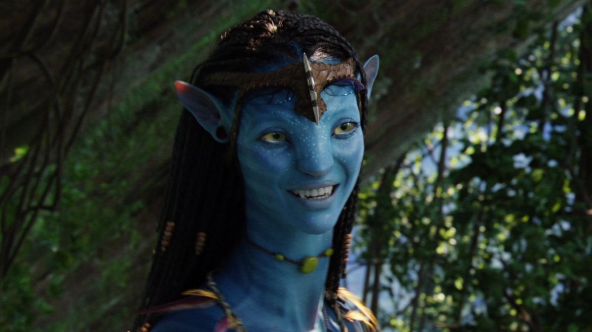 Fakta menarik Zoe Saldana, karakter perempuan di film Avatar: The Way of Water yang tayang di bioskop mulai hari ini.