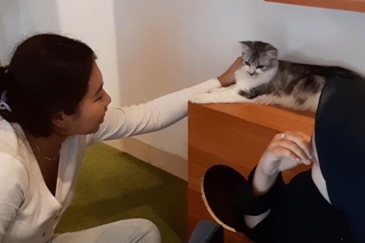 Berikut ini lima tips berkunjung ke Bilik Kucing Cat Cafe yang jadi hidden gem di Depok, Jawa Barat, simak ya