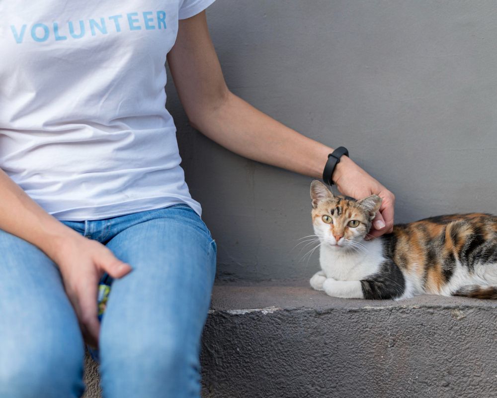 Berita terpopuler Wellness (9/8 /2023):  BERITA TERPOPULER WELLNESS: cara bantu Mengatasi Nyeri Haid hingga Penyakit yang Ditularkan Kucing ke Manusia