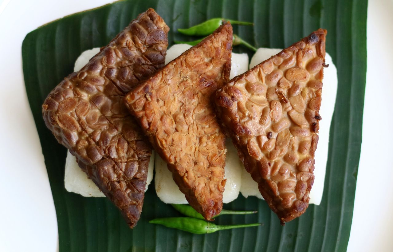 Berikut ini 2 tips mengolah tempe agar lebih sehat bagi tubuh yang dibagikan oleh dokter gizi, simak!