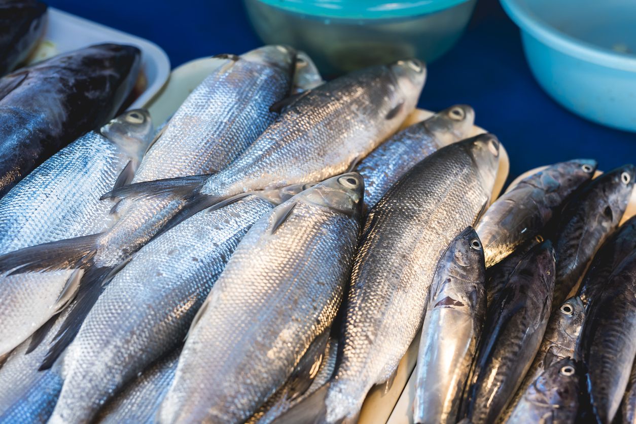 Berikut ini 3 tips membersihkan ikan bandeng agar tetap segar, mulai dari kelompokkan ikan sesuai ukurannya